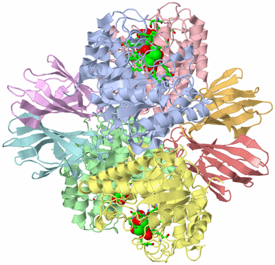 Image Asym./Biol. Unit - sites