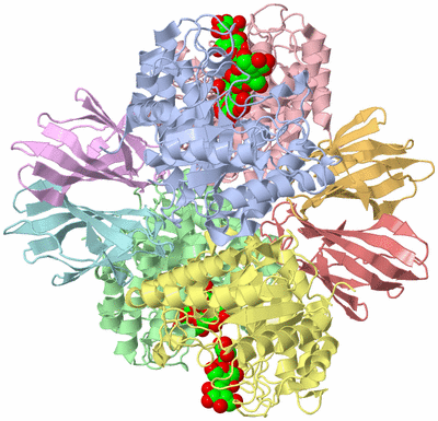 Image Asym./Biol. Unit