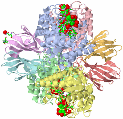 Image Asym./Biol. Unit - sites