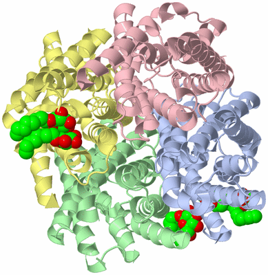 Image Biological Unit 1