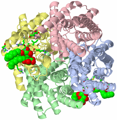 Image Biol. Unit 1 - sites