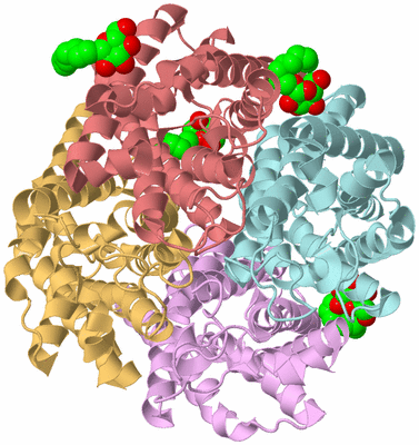 Image Biological Unit 2