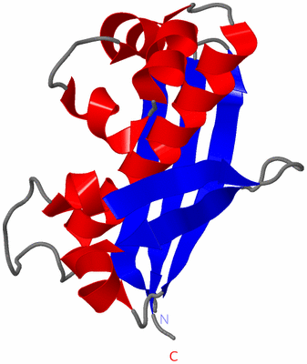 Image Asymmetric Unit