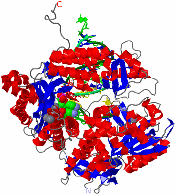 Image Asym./Biol. Unit