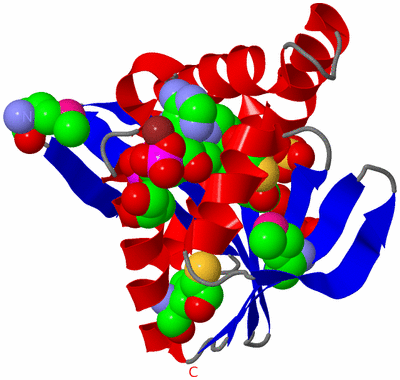 Image Asym./Biol. Unit