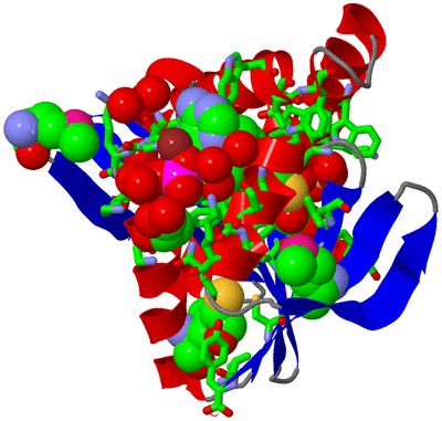 Image Asym./Biol. Unit - sites