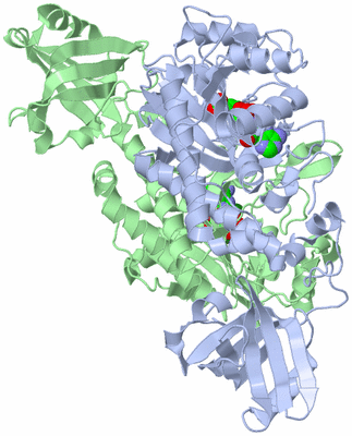 Image Asym./Biol. Unit