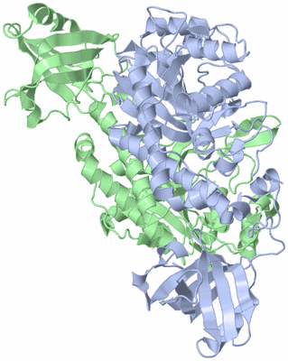 Image Asym./Biol. Unit