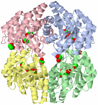 Image Asym./Biol. Unit