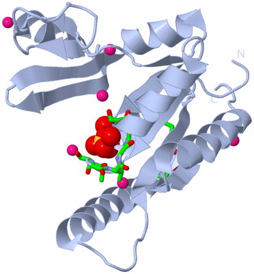 Image Biol. Unit 1 - sites