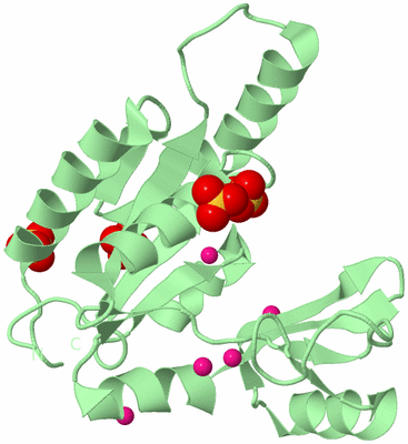 Image Biological Unit 2