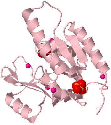 Image Biological Unit 3