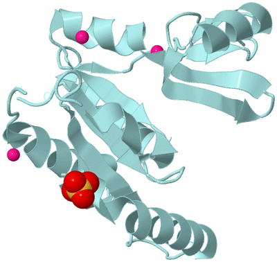 Image Biological Unit 5