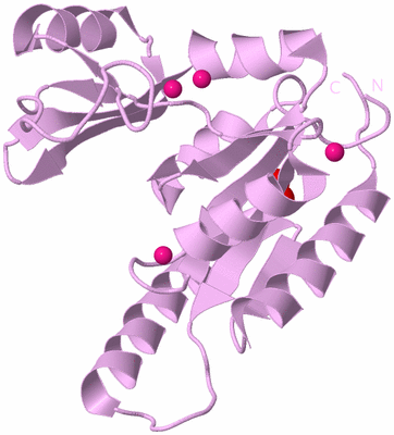 Image Biological Unit 6