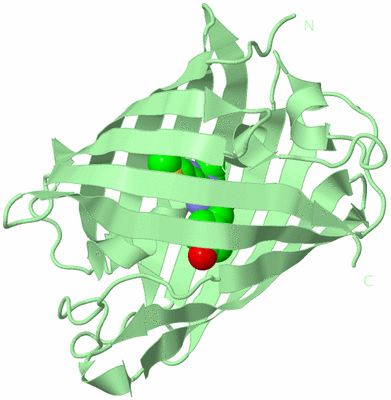 Image Biological Unit 2