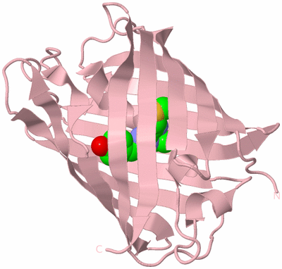 Image Biological Unit 3