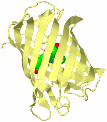 Image Biological Unit 4