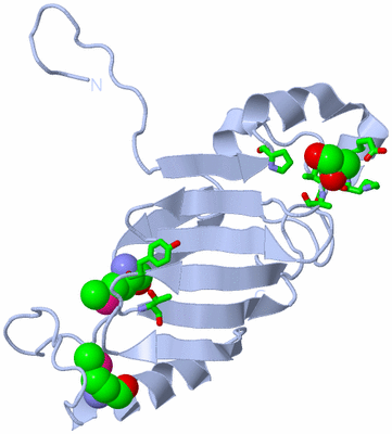 Image Biol. Unit 1 - sites