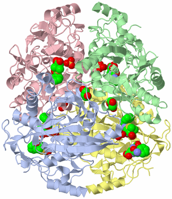 Image Asym./Biol. Unit