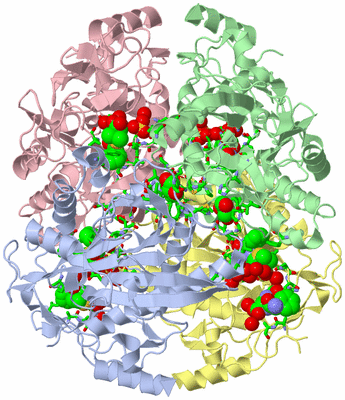 Image Asym./Biol. Unit - sites