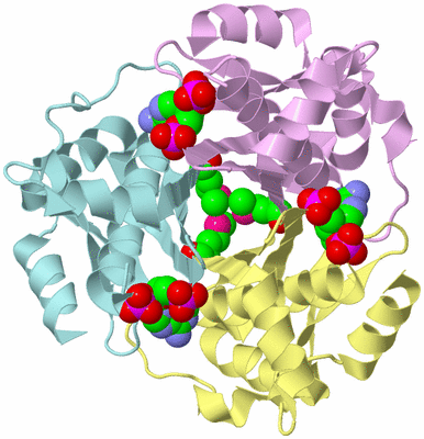 Image Biological Unit 2