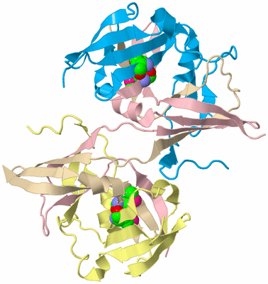 Image Biological Unit 2