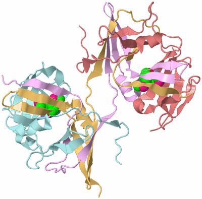 Image Biological Unit 3