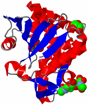 Image Asym./Biol. Unit