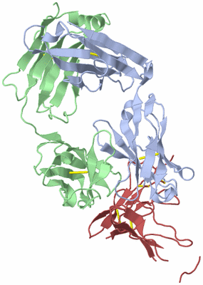 Image Biological Unit 1