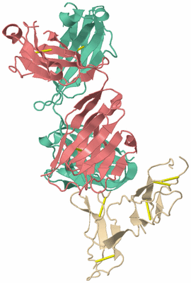 Image Biological Unit 2