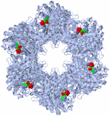 Image Biological Unit 1