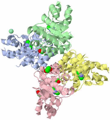 Image Asym./Biol. Unit