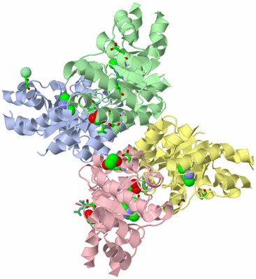 Image Asym./Biol. Unit - sites