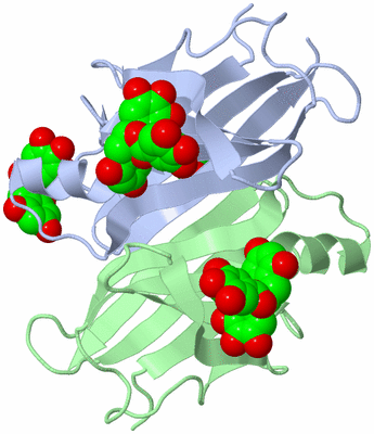 Image Asymmetric Unit