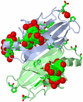 Image Asym. Unit - sites