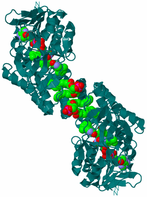 Image Biological Unit 1