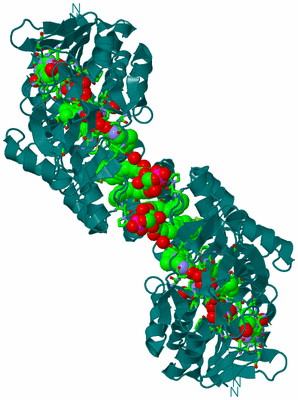 Image Biol. Unit 1 - sites