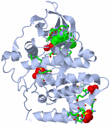 Image Biol. Unit 1 - sites