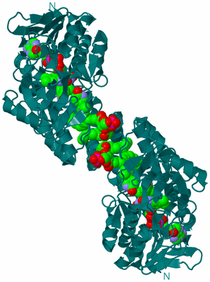 Image Biological Unit 1