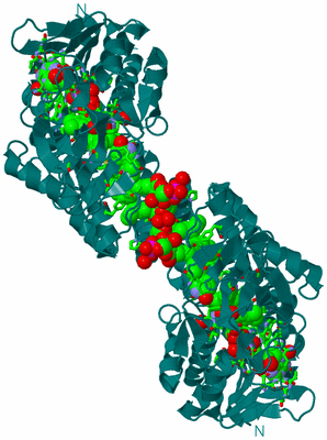 Image Biol. Unit 1 - sites