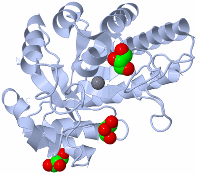 Image Biological Unit 1