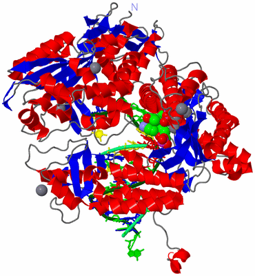 Image Asym./Biol. Unit