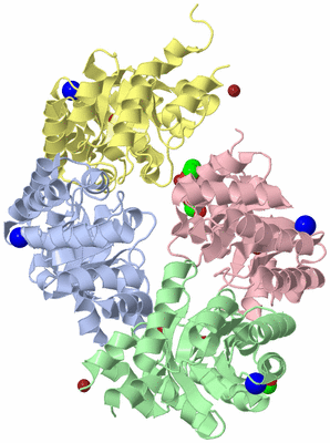 Image Asym./Biol. Unit