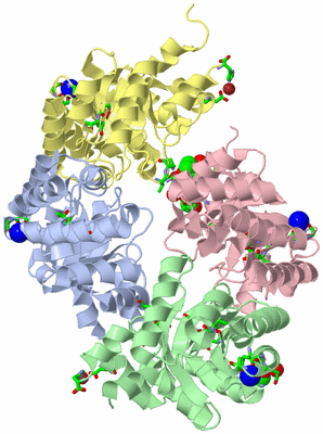 Image Asym./Biol. Unit - sites