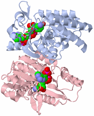 Image Asym./Biol. Unit