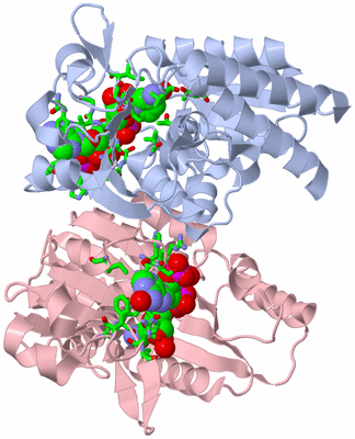 Image Asym./Biol. Unit - sites