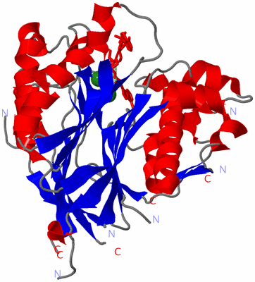 Image Asym./Biol. Unit