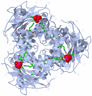 Image Biol. Unit 1 - sites