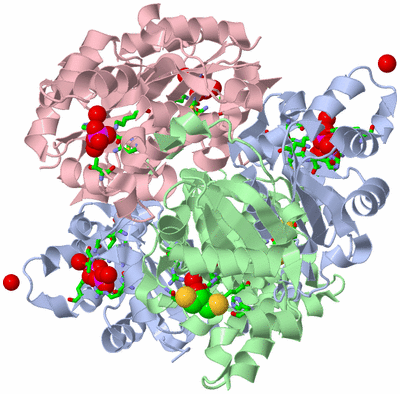 Image Biol. Unit 1 - sites