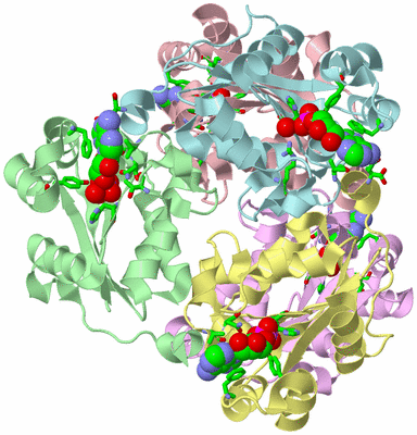 Image Biol. Unit 1 - sites